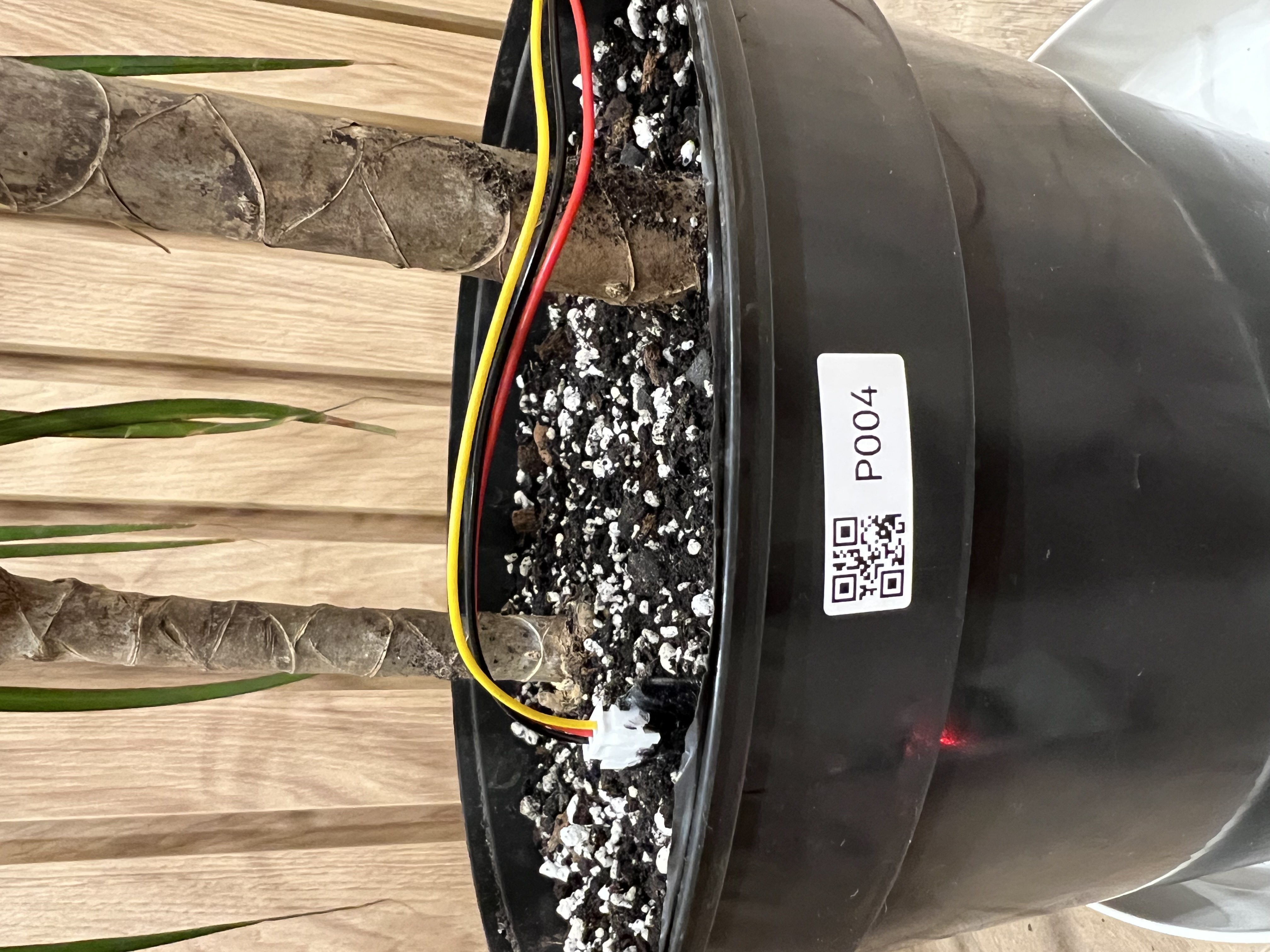 QR sticker on a plant pot